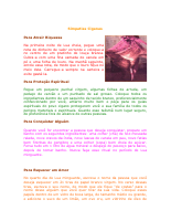 Simpatias-Ciganas-IN @facesda_lua.pdf